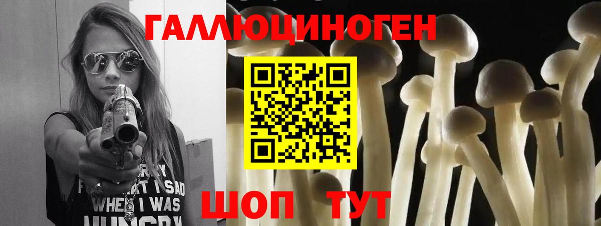 Мариинск  купить наркотик  Вход с VPN  Псилоцибиновые грибы GOLDEN TEACHER 